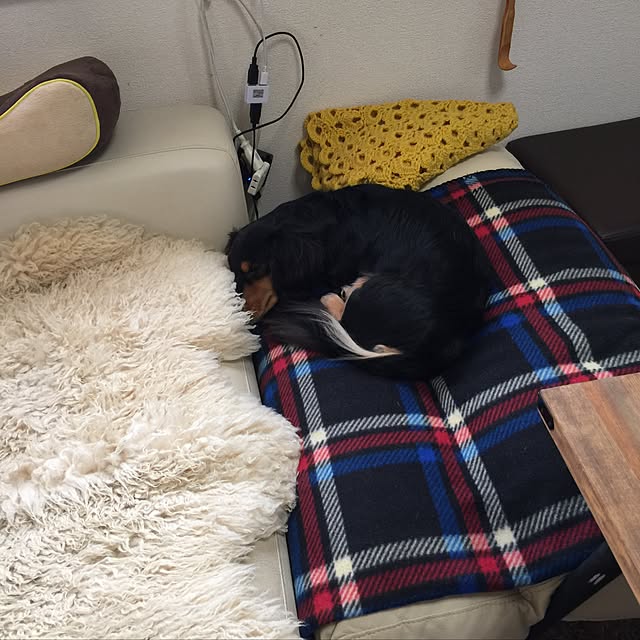 urucotoさんの実例写真