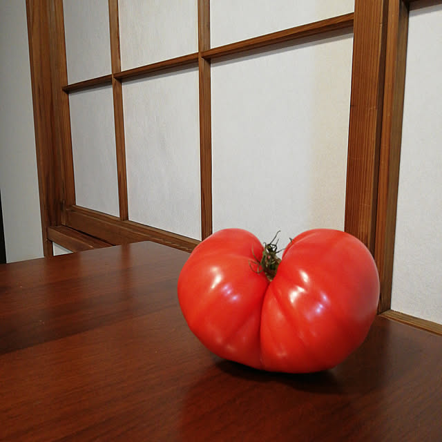 hassakuさんの実例写真