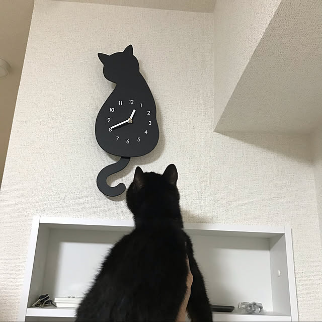 LUCIAさんの実例写真