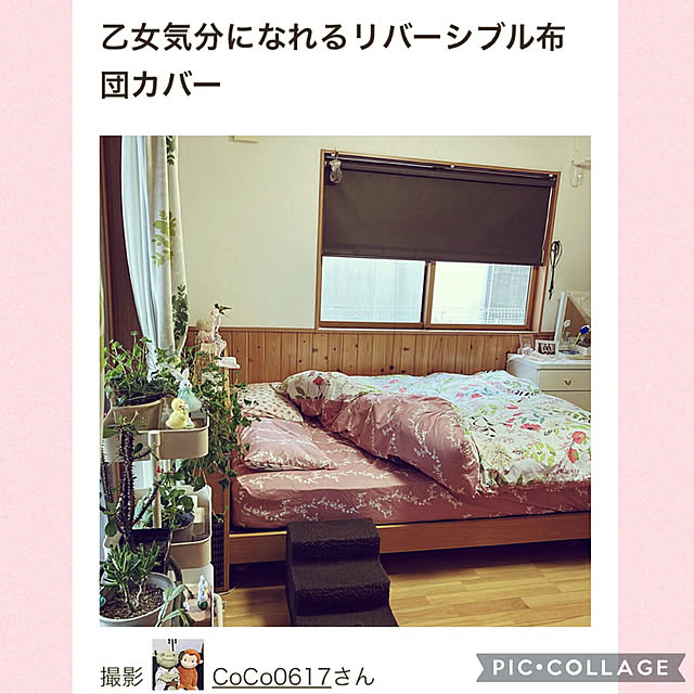 CoCo0617さんの実例写真