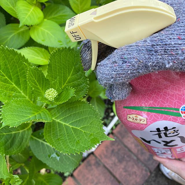 mamiさんの部屋
