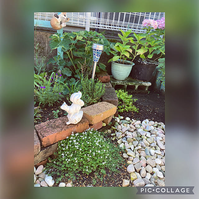 CoCo0617さんの実例写真