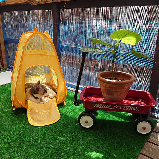 fukuさんの実例写真