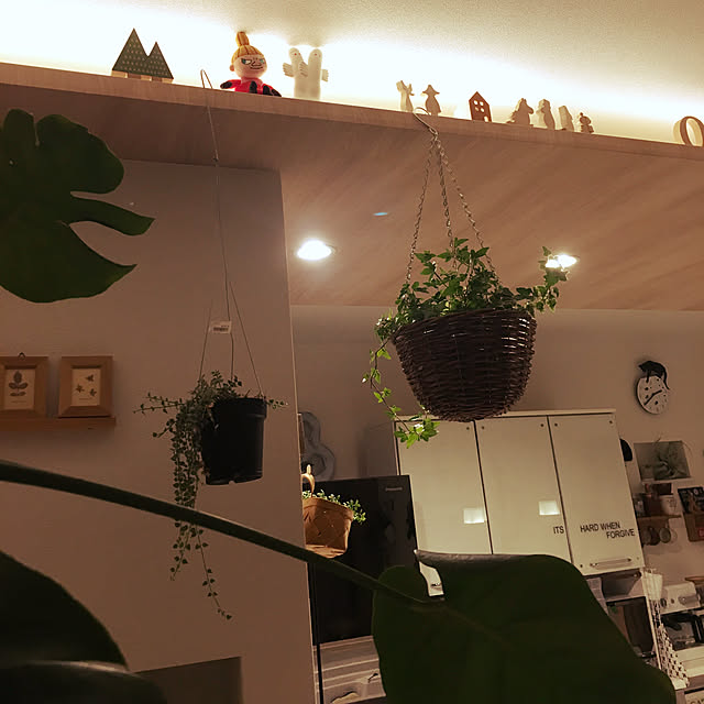 megu.catさんの実例写真