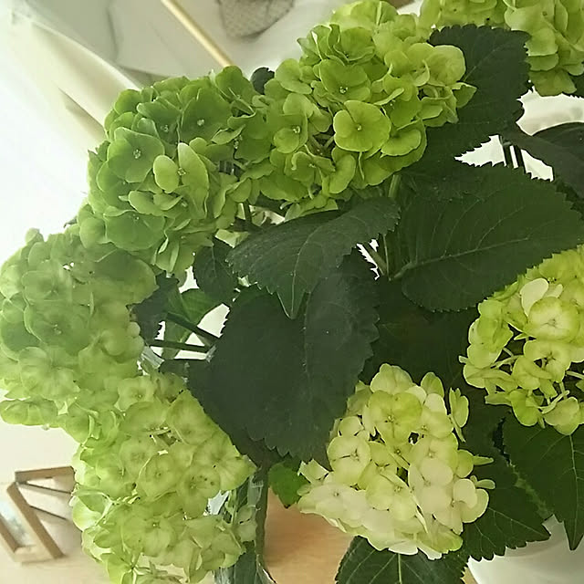 yuu.0812さんの実例写真