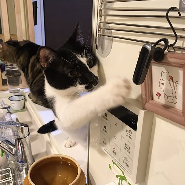 mikomaruさんの実例写真