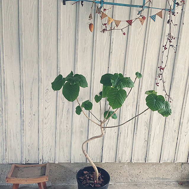 koppeさんの実例写真