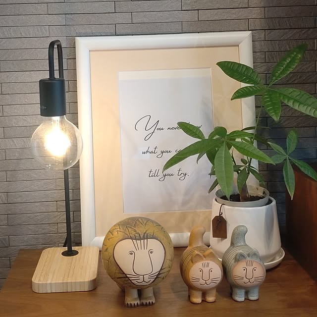 tan5さんの実例写真