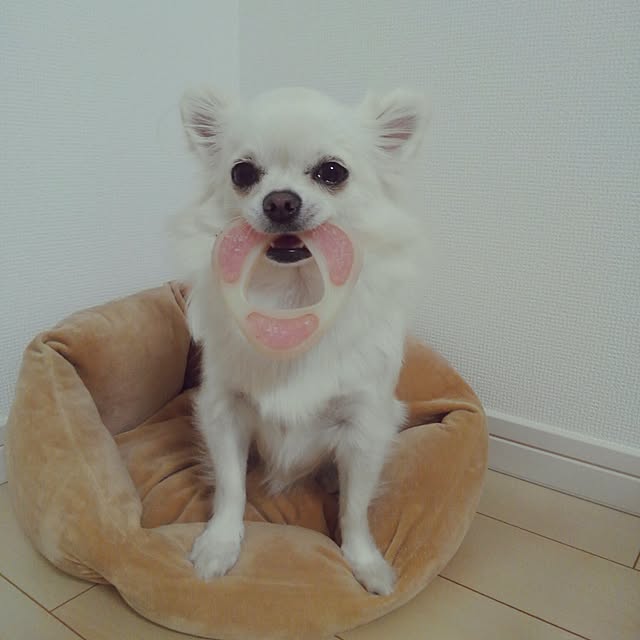 okuriさんの実例写真