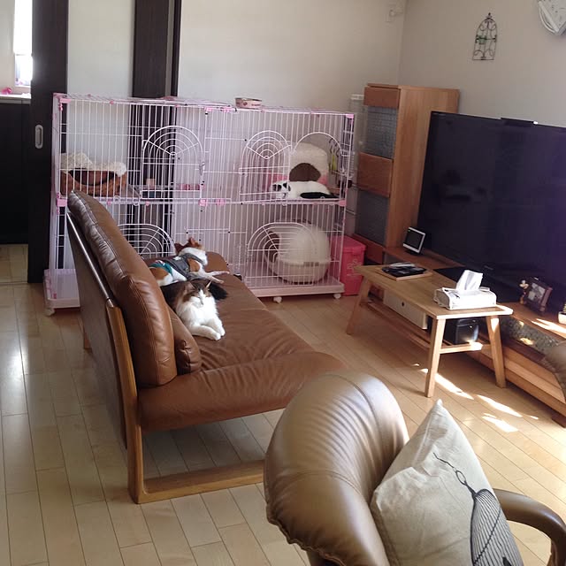 mikan0607さんの実例写真