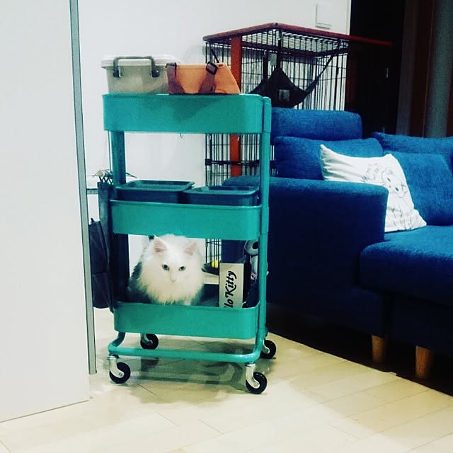 Msenbeeeさんの実例写真