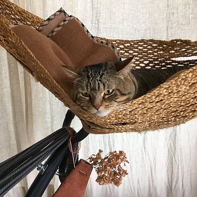 kuuさんの実例写真
