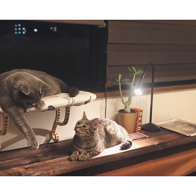 BTGさんの実例写真