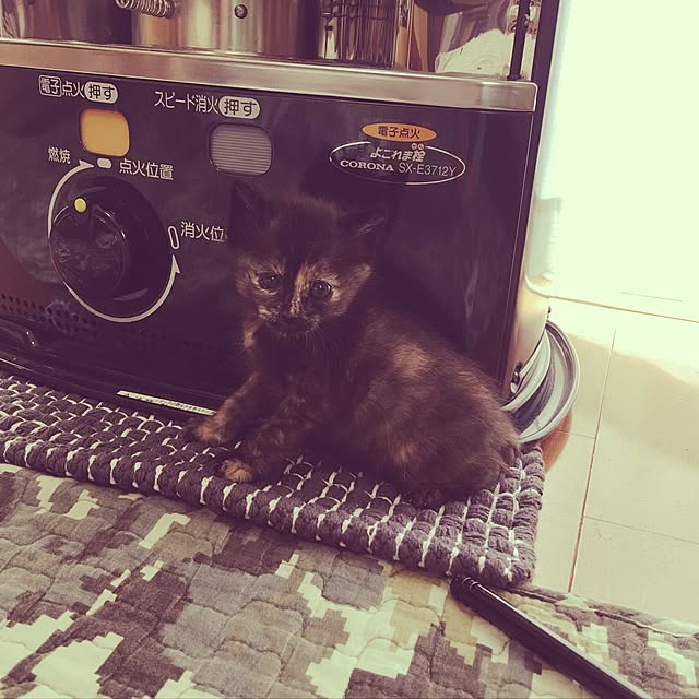 nanarikusoraさんの実例写真