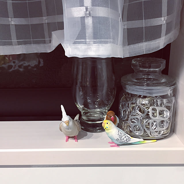 sakusakuさんの実例写真