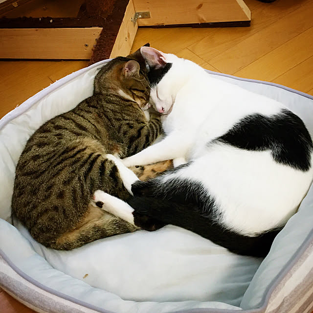 nobikoさんの実例写真