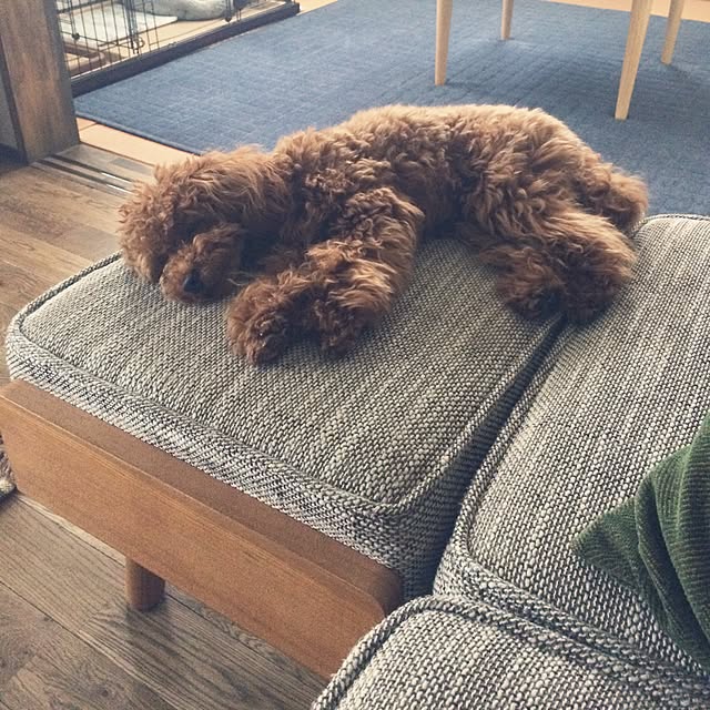 nicoさんの実例写真