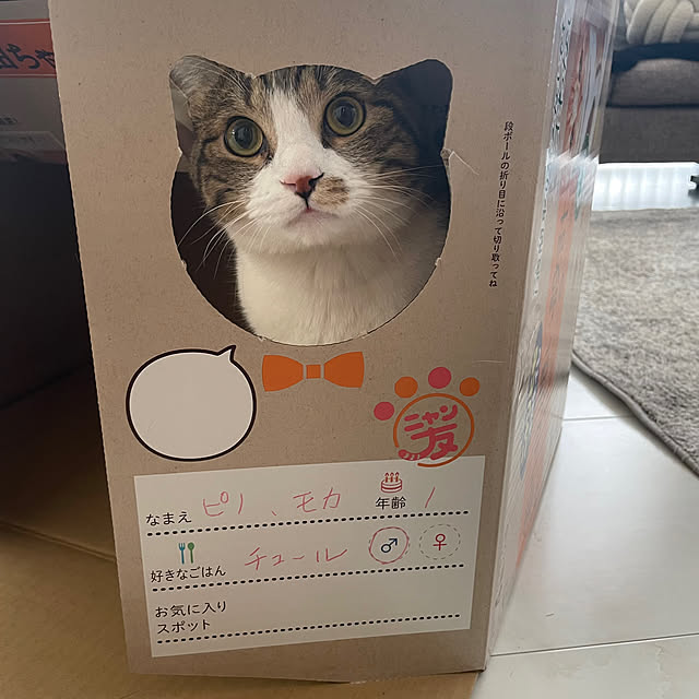 maimaiさんの部屋