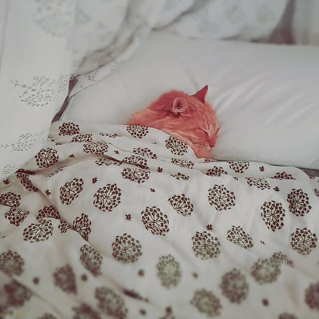 choku3さんの実例写真