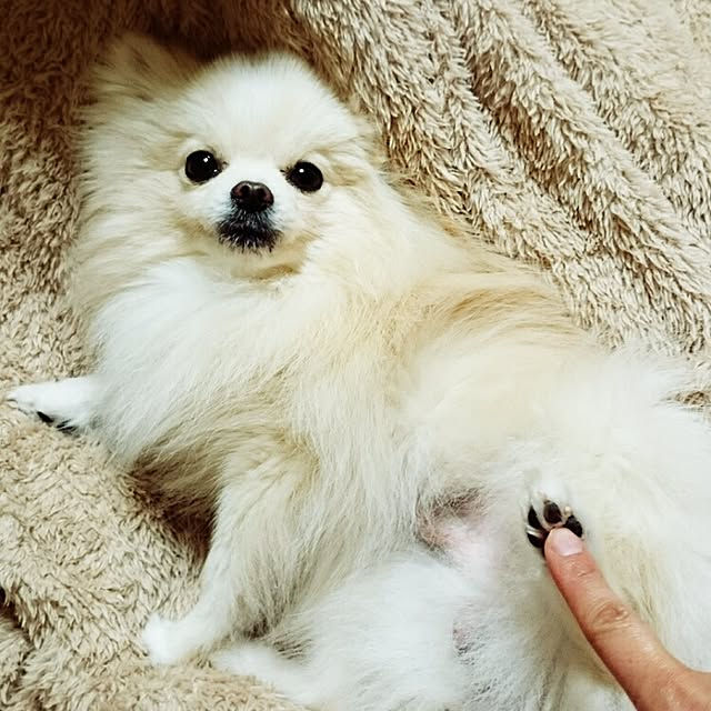yukaさんの実例写真