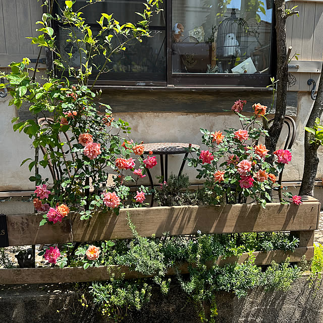 tabasaさんの部屋