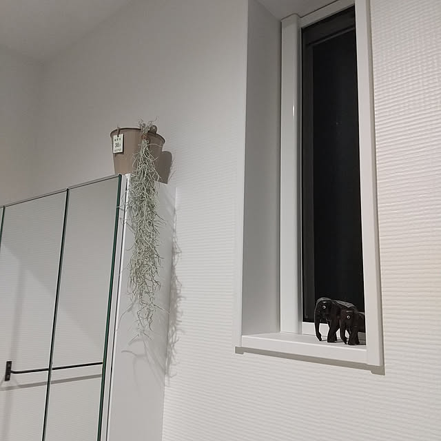michhyさんの実例写真