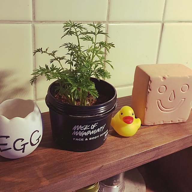 doさんの実例写真