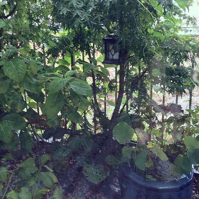 SADAさんの実例写真