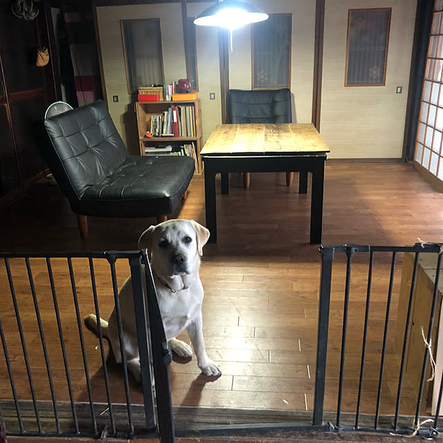 kanapiさんの実例写真