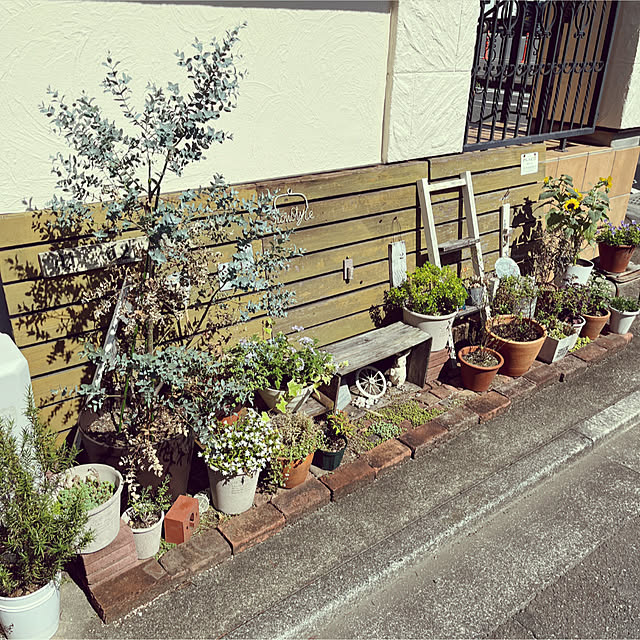 823smileさんの部屋