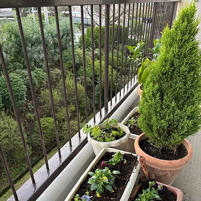 syutmmさんの部屋