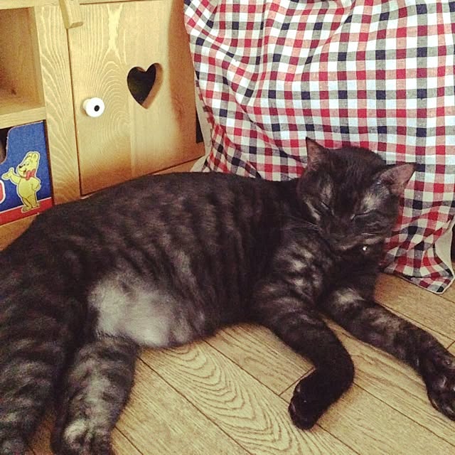 cocotakuさんの実例写真