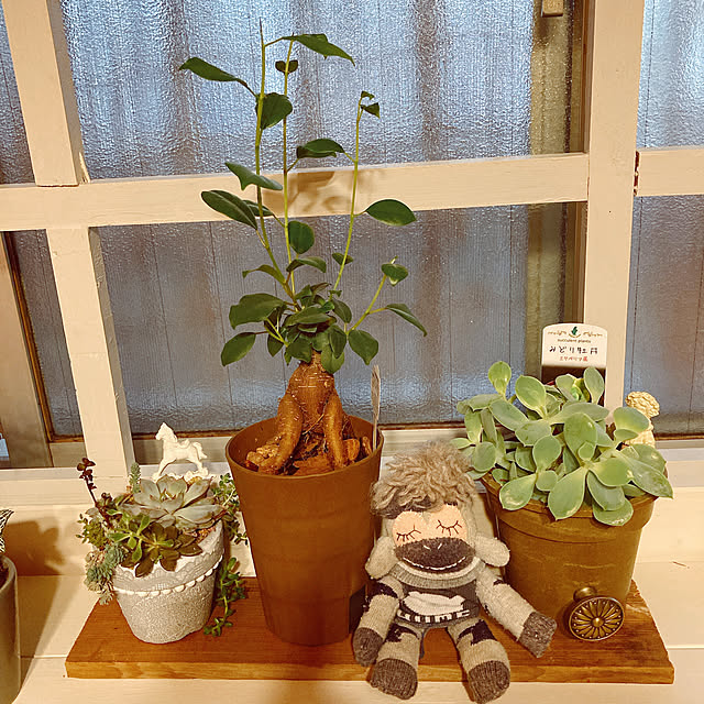 machakoさんの実例写真