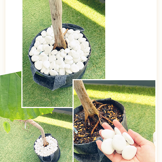 nanakoさんの実例写真