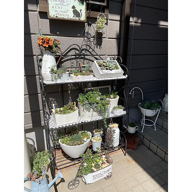 momocchiさんの部屋