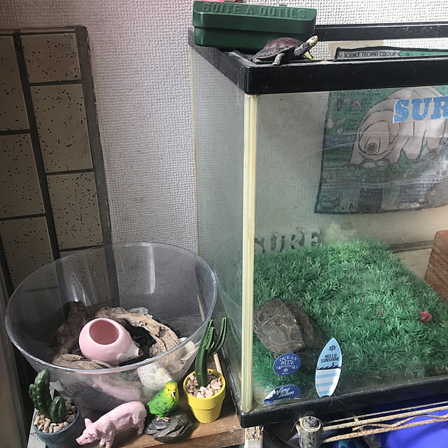 kai-.-kai06さんの実例写真