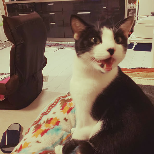 oseroさんの実例写真