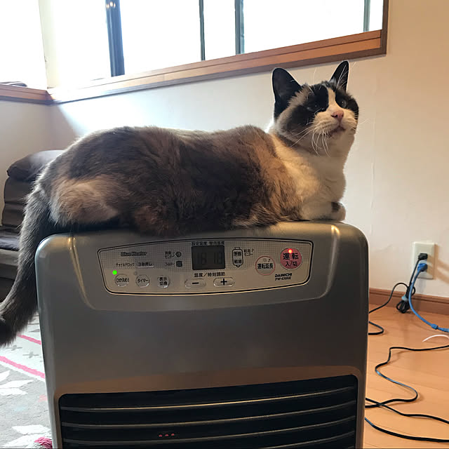 Nezuさんの実例写真
