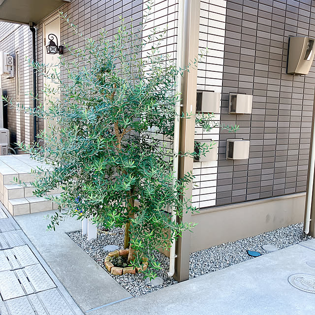 a-tanさんの部屋