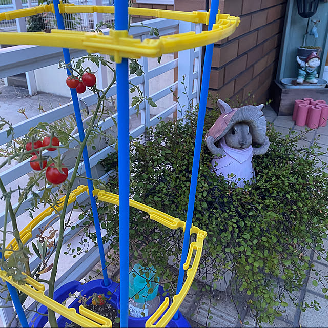 chIoeさんの実例写真
