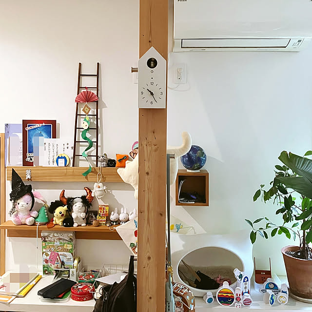 akanekoさんの実例写真
