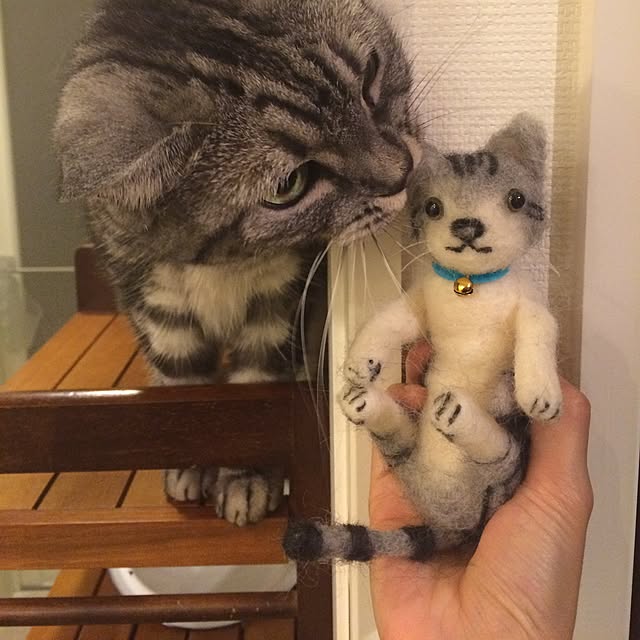 mikomaruさんの実例写真