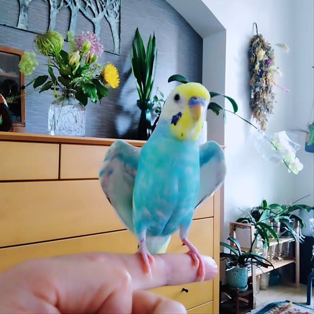 reko639さんの実例写真