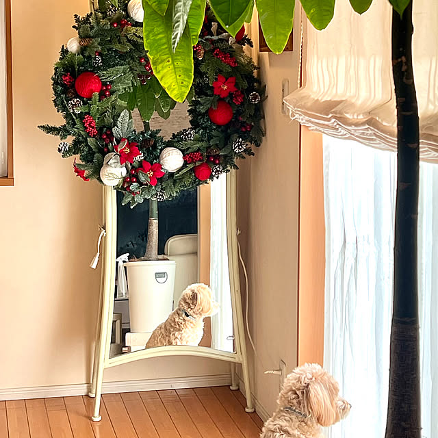 chobisukeさんの部屋