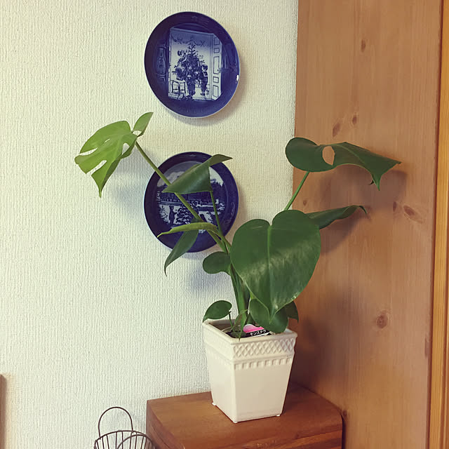 ruimamさんの実例写真