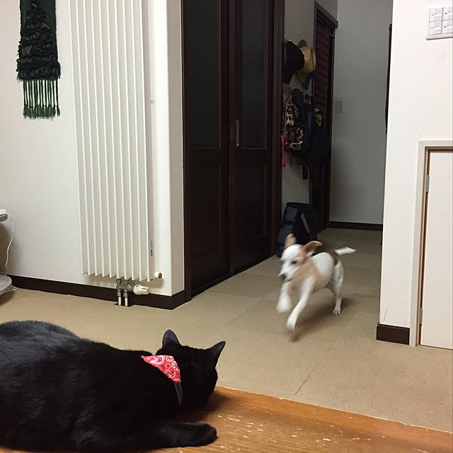 nanaさんの実例写真
