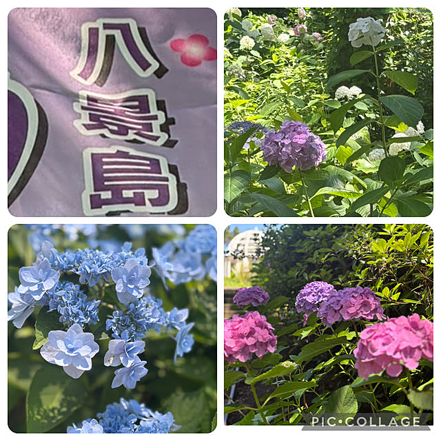 syutmmさんの部屋