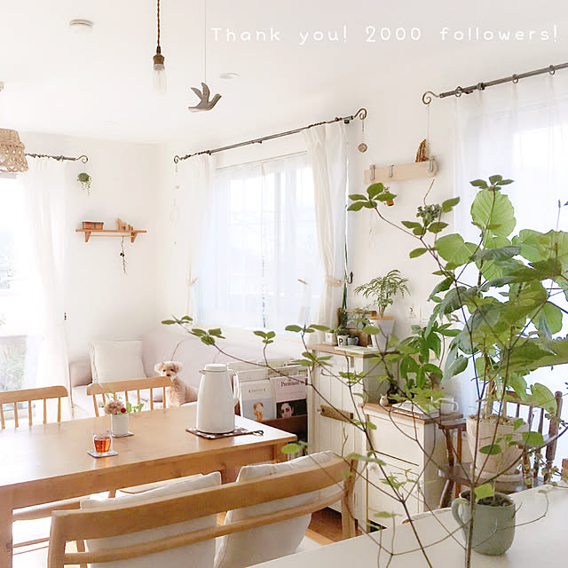 部屋全体/観葉植物/フォロワーさま２０００人 ♡/シンプル/すっきり暮らしたい...などのインテリア実例 - 2018-10-18 20:06:28