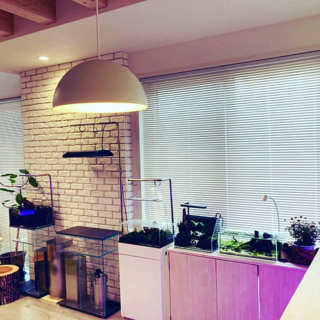 aquarist_tkさんの実例写真