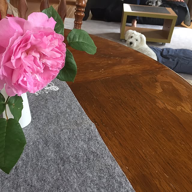 Mahoさんの実例写真